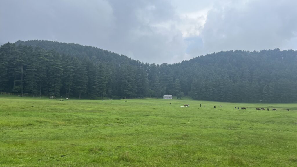 himachal