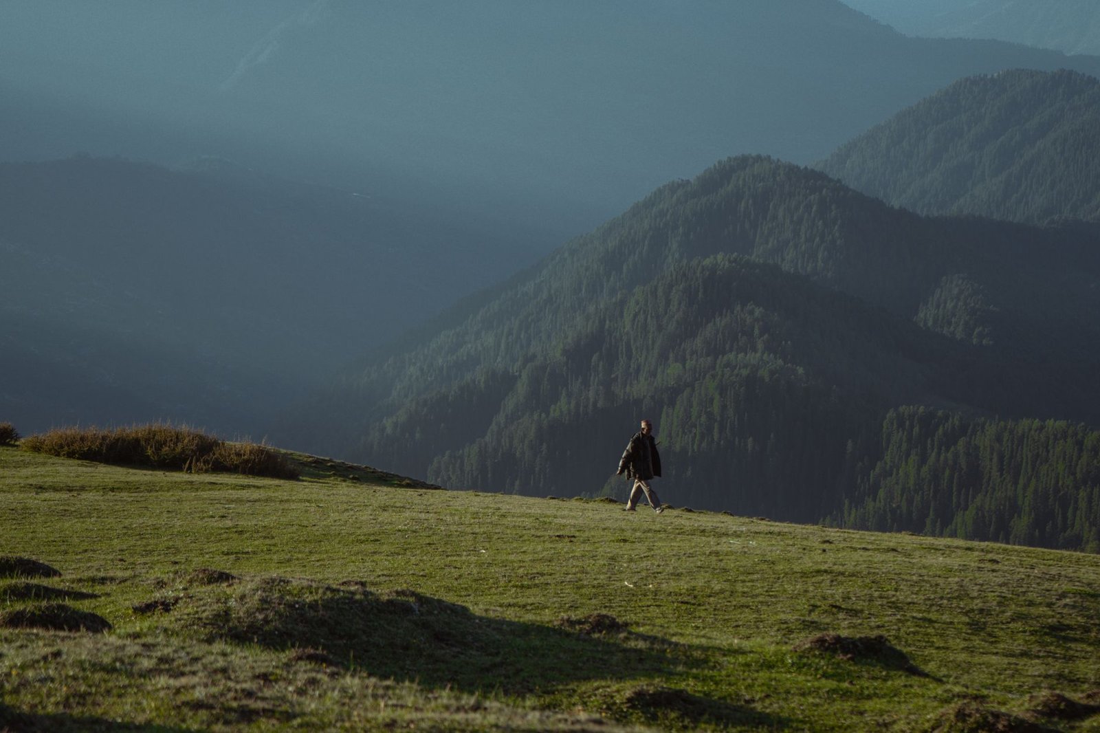 A lone hiker walks through lush greenery with the stunning Shoja hills in the background.