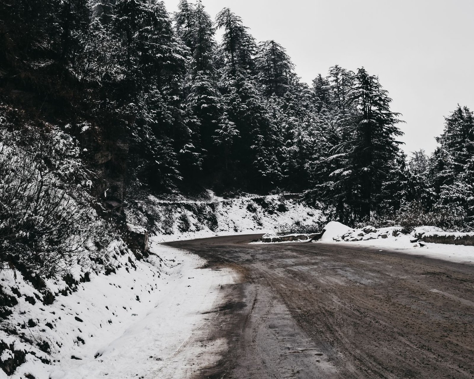 Serene snowy road winding through Shimla's frosty mountain landscape.