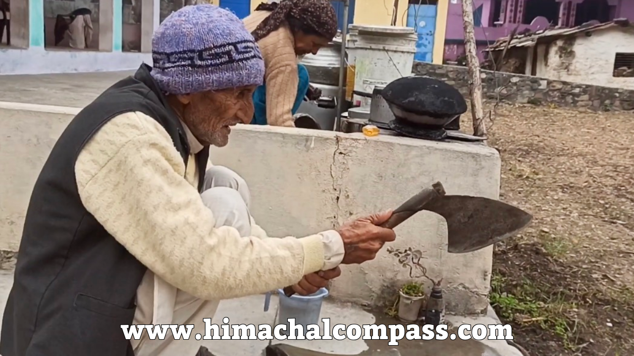 माघी-त्योहार-maghi-Himachal