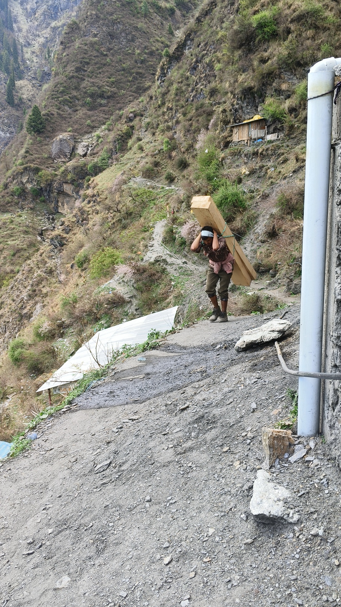 Hippi-Hindustani-story-malana