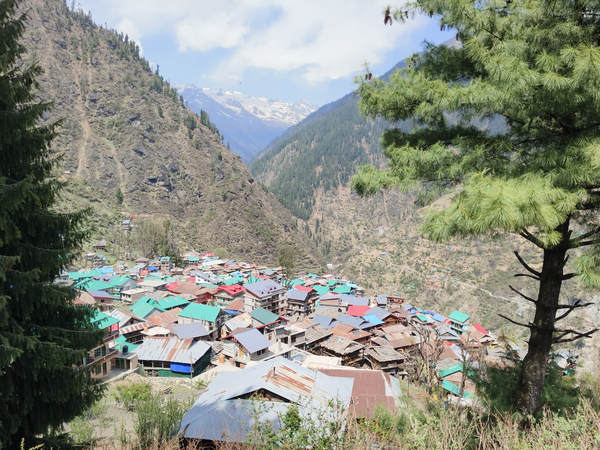 View-point-malana-village-hippi-Hindustani-story