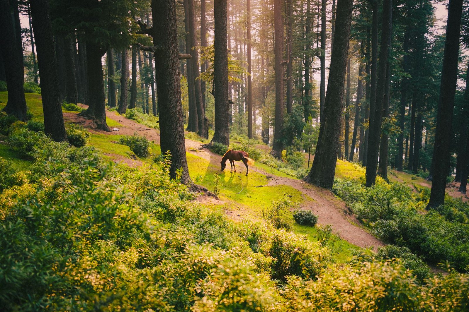 Chamba Travel Guide 2026