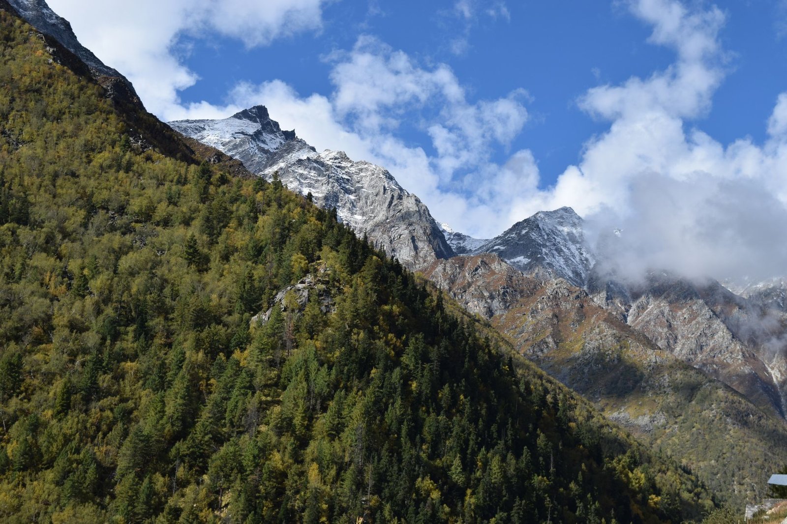 Breathtaking view of mountains and forest in Chitkul, Himachal Pradesh under a clear blue sky.