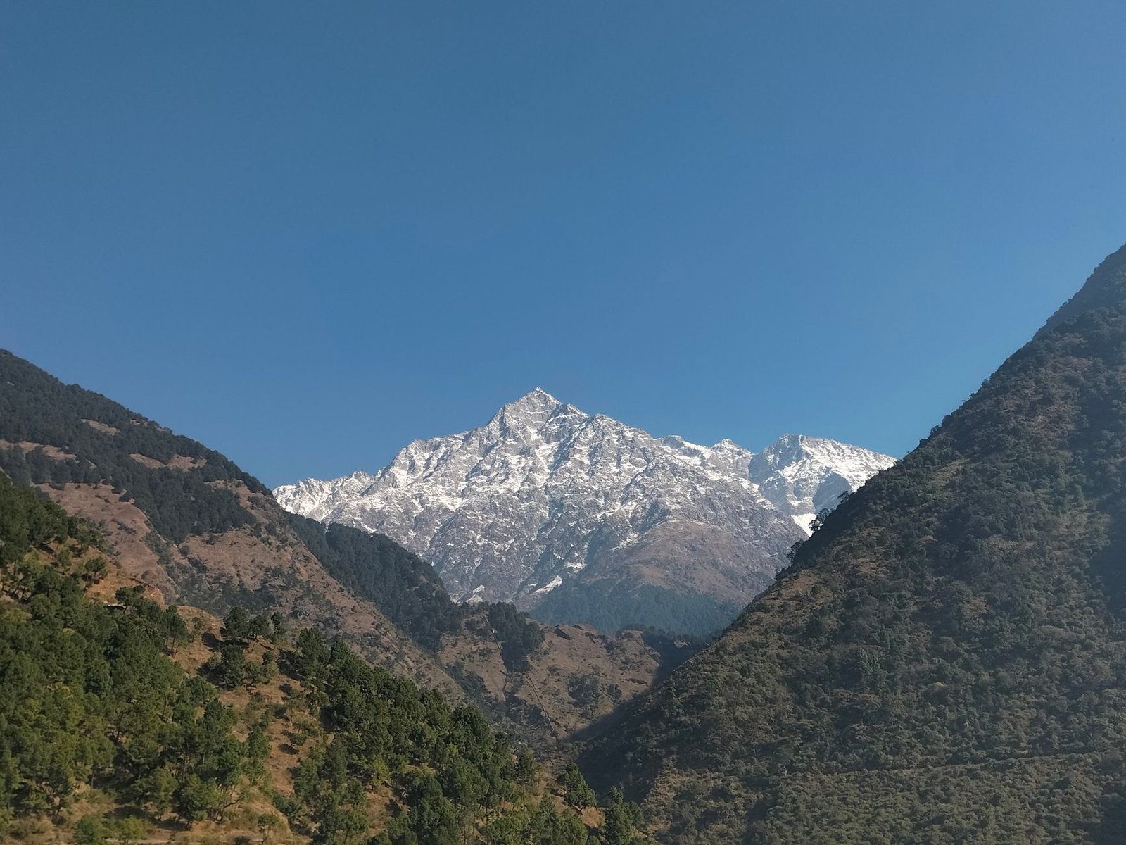 Snow-covered peaks and lush hills under a clear sky in Dharamshala, India.
