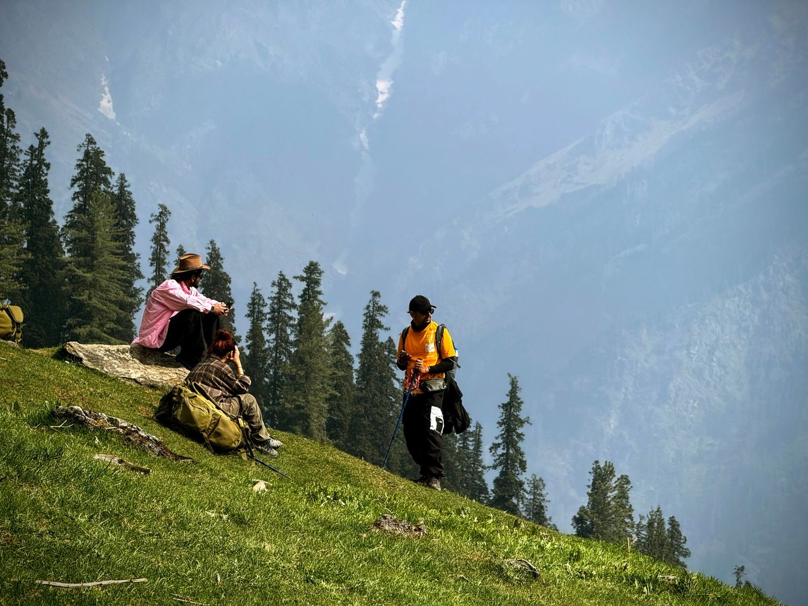 Group of hikers relaxing on a lush hillside with pine trees in Thach, India.