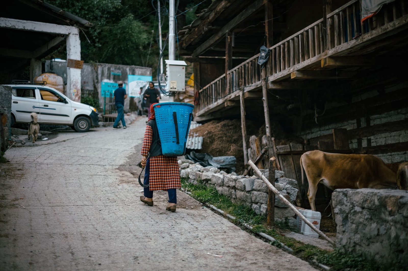 A local woman walks along a rural road in Manali, India with a basket on her back, capturing the essence of village life.