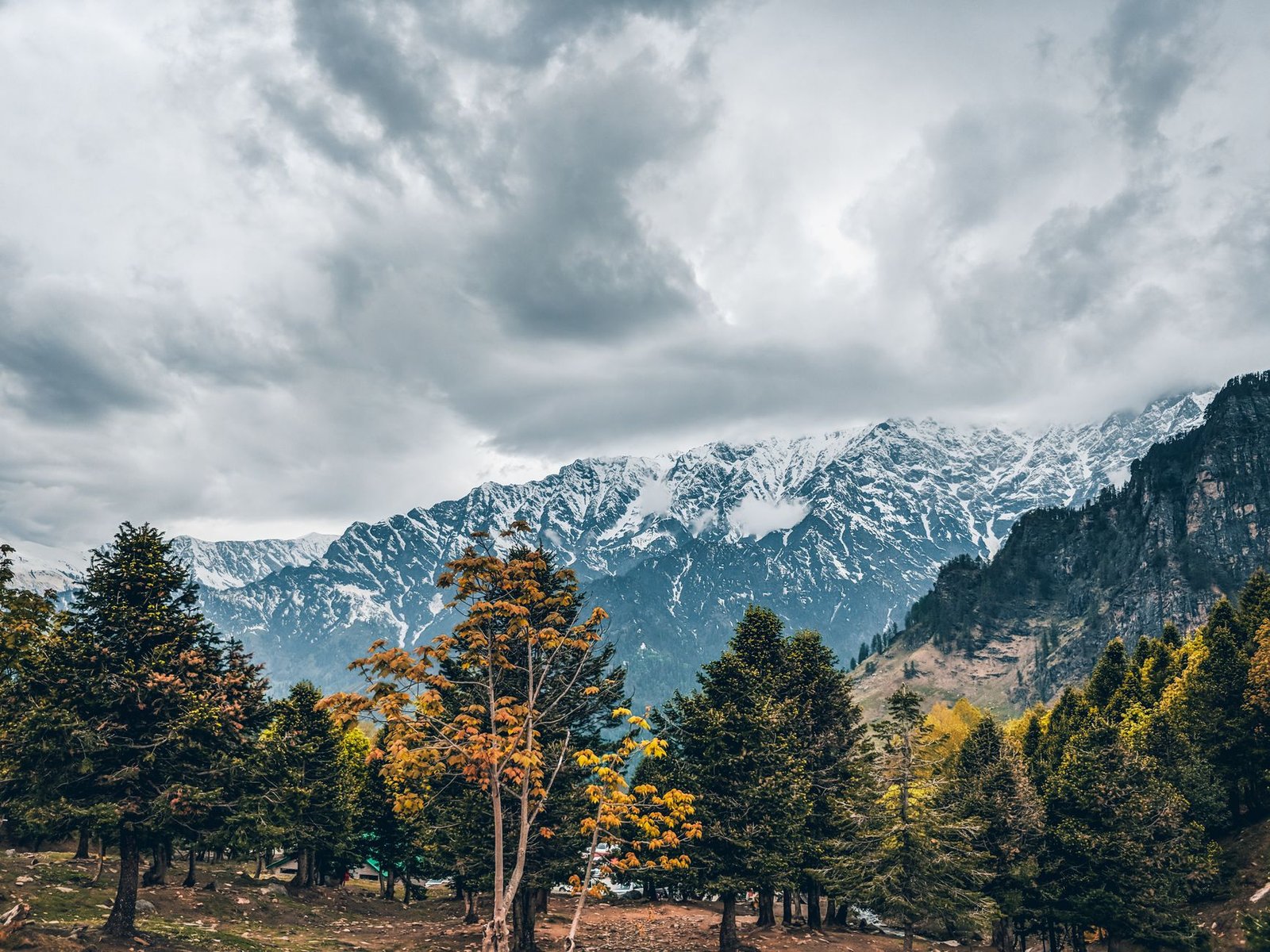 Breathtaking view of snow-capped mountains and lush trees in Kullu, Himachal Pradesh, India.