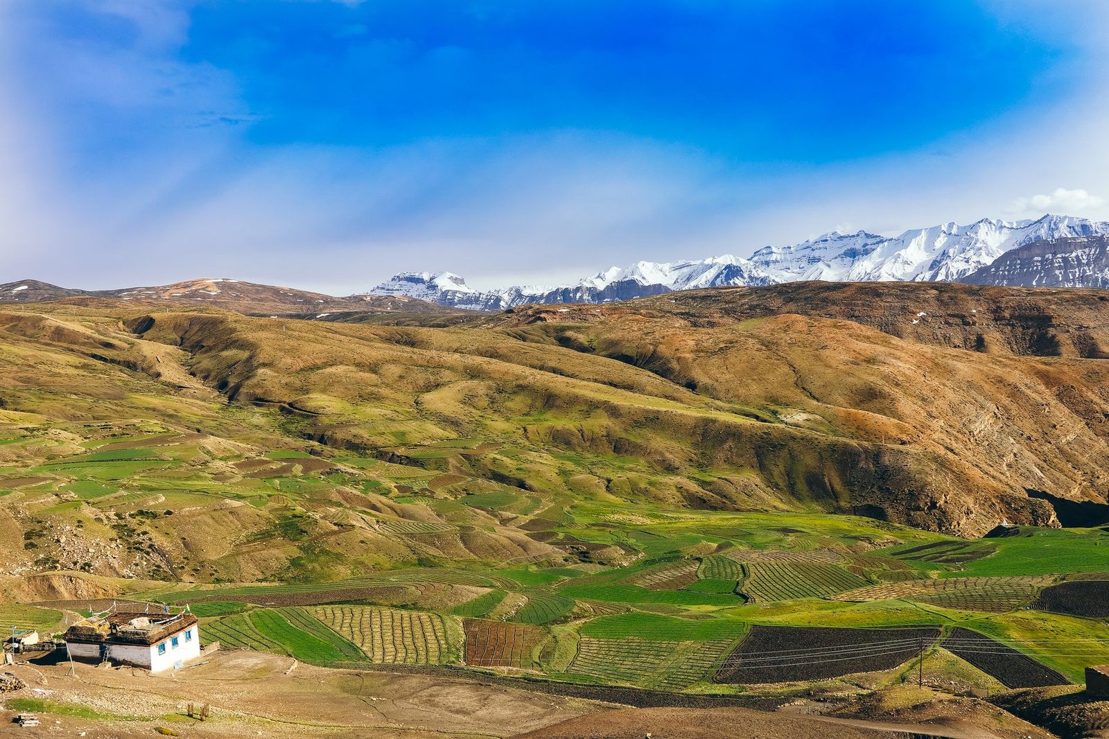 Scenic view of Langza, Himachal Pradesh with lush fields and snowy peaks.